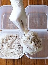 「なんて素敵なお弁当！」タッパーに韓国風おかずをぎっしり詰め込んだ【のっけ弁当】が彩り豊かで美味しそう