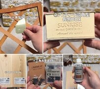 【100均DIY】セリアグッズで作る多肉植物が映える「壁掛けガーデン雑貨」に感動！「作ってみたいです」と話題