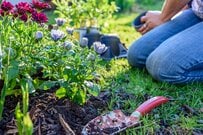 虫を寄せつけない「ワークマン新作1900円防虫シャツ」UV、吸汗速乾、ストレッチ機能も