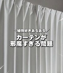 「植物好きのあるある問題」建売住宅の〈開閉しにくいカーテン〉→すっきり日当たり良好な〈ロールスクリーン〉で解決！