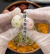 【話題】食べごたえとかわいさが詰まった「そぼろ弁当」至れり尽くせりのこだわりに反響続々