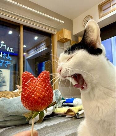 苺(紫)の猫ちゃん♡ 苺(紫)の猫ちゃん♡ キャラクターシリーズ【いちごネコ】12cm版