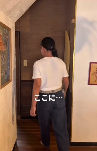変身前のドアのない家