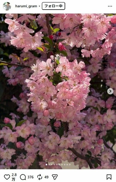 栗原はるみのInstagram投稿