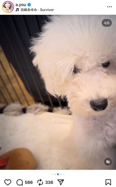 浜崎あゆみのInstagram投稿