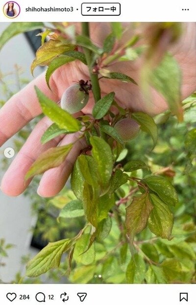 橋本志穂のInstagram投稿