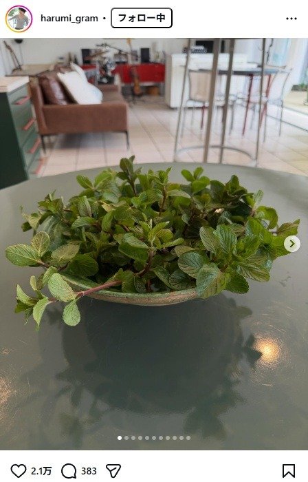 出所：栗原はるみのInstagram（＠harumi_gram）　参照日：2025年3月26日