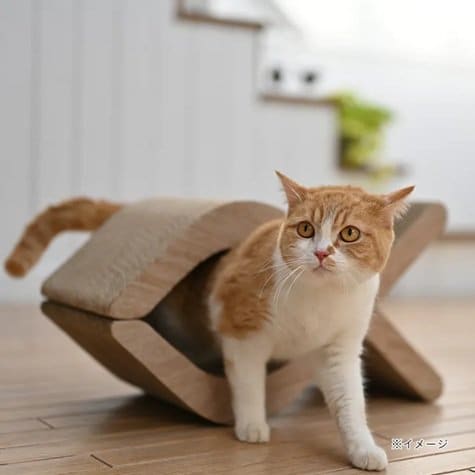 画像出所：カインズ公式オンラインショップ