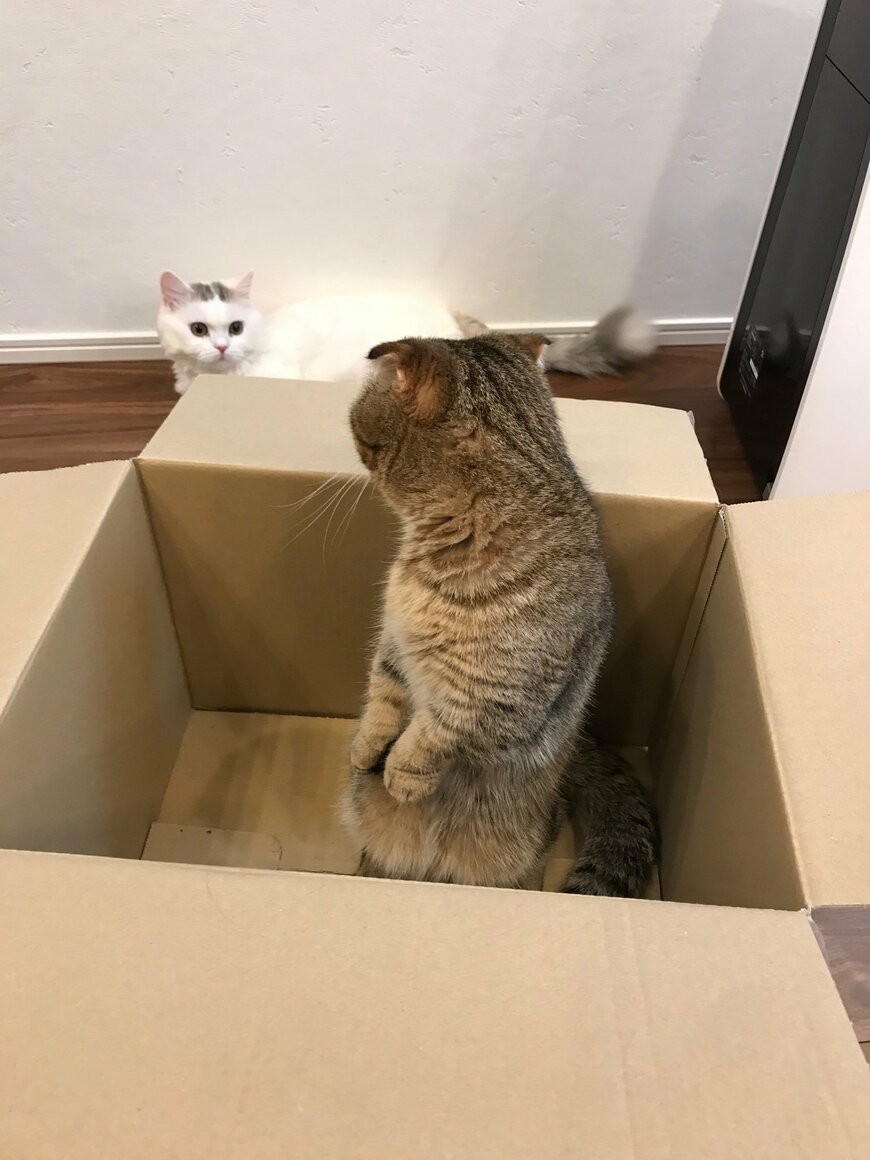 出所：@ponpokopontanu