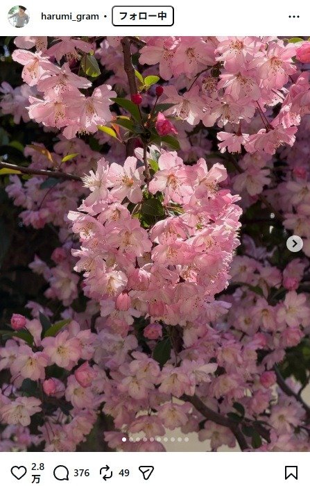 出所：栗原はるみのInstagram（＠harumi_gram）　参照日：2026年4月6日