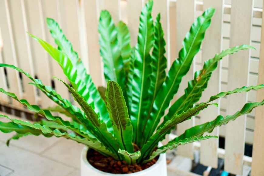 Nattawat Jindamaneesirikul/istockphoto.com