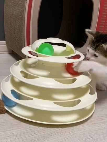 出所：@Saeroyi_cat