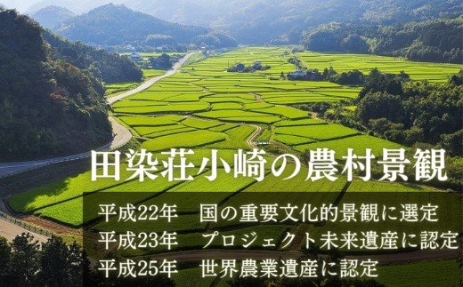 出所：ふるさとチョイス 荘園領主 希望月に届るお米の定期便計50kg 田植え等イベント招待