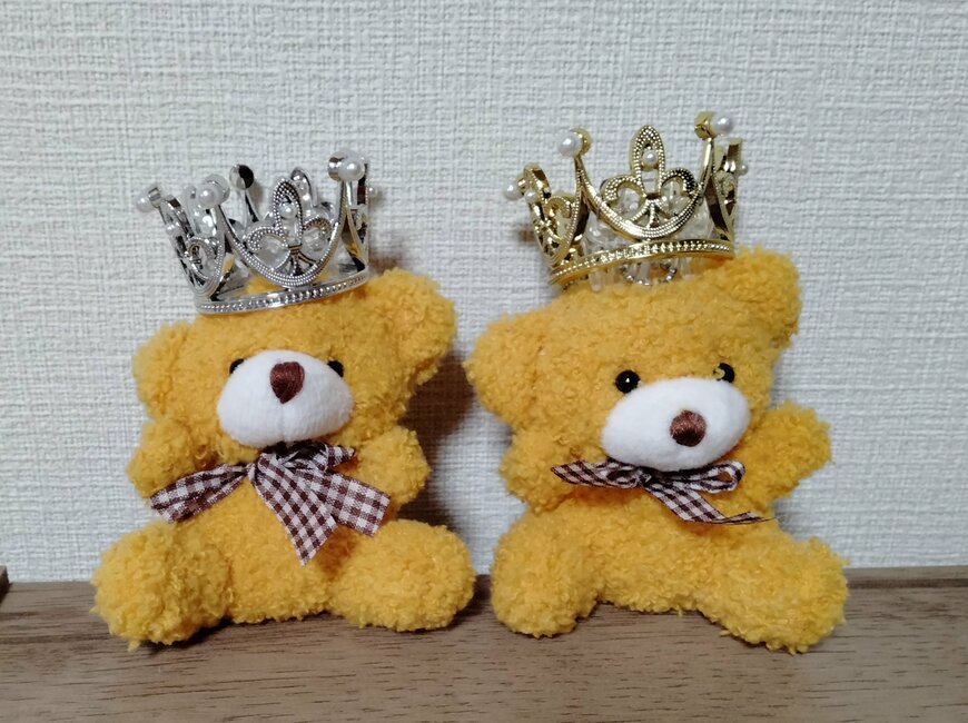 筆者撮影（セリア、ペット用クラウン）