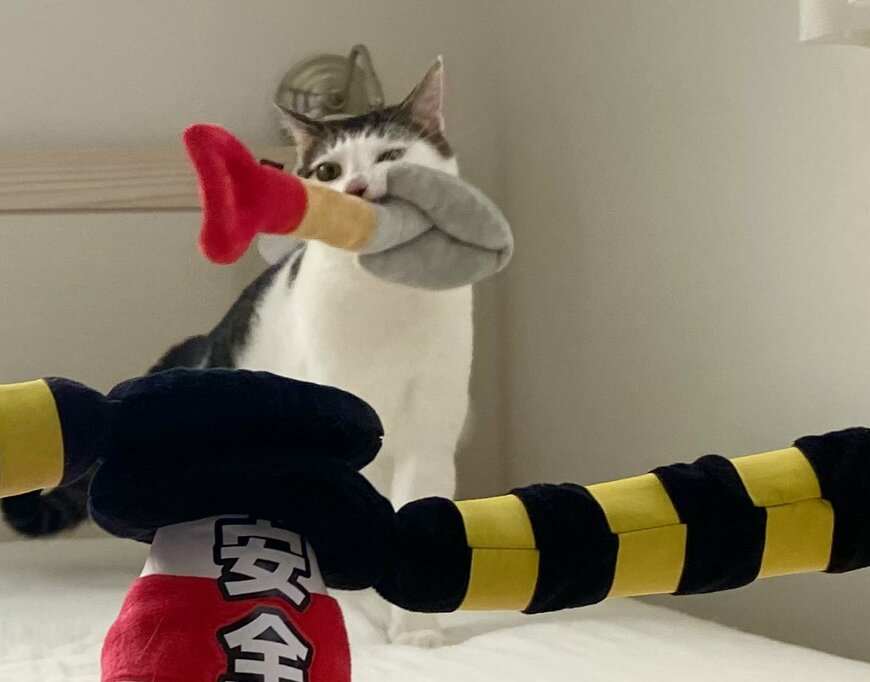 出所：@Saeroyi_cat