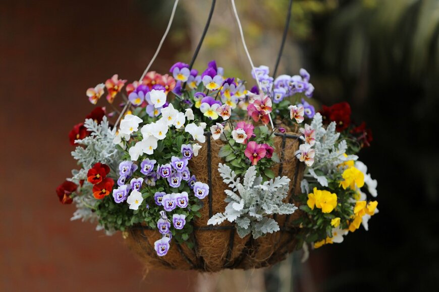 yu_photo/shutterstock.com