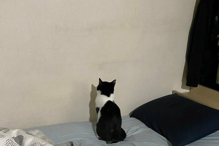 出所：@00shitemita