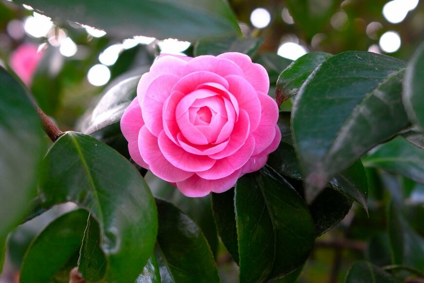 Alldgy/istockphoto.com