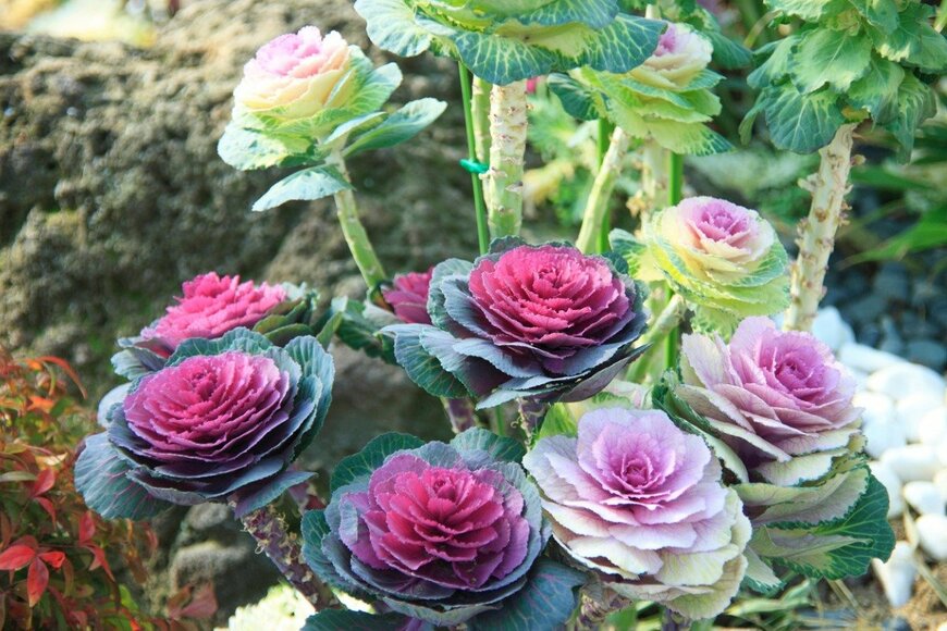 gyro/istockphoto.com