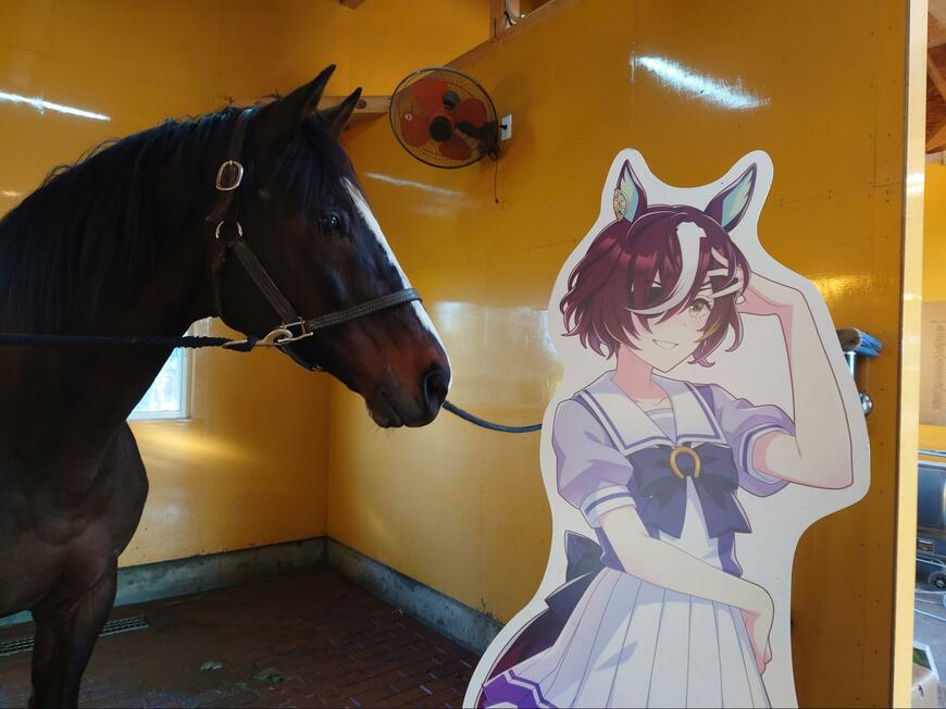 出所：Yogiboヴェルサイユリゾートファーム