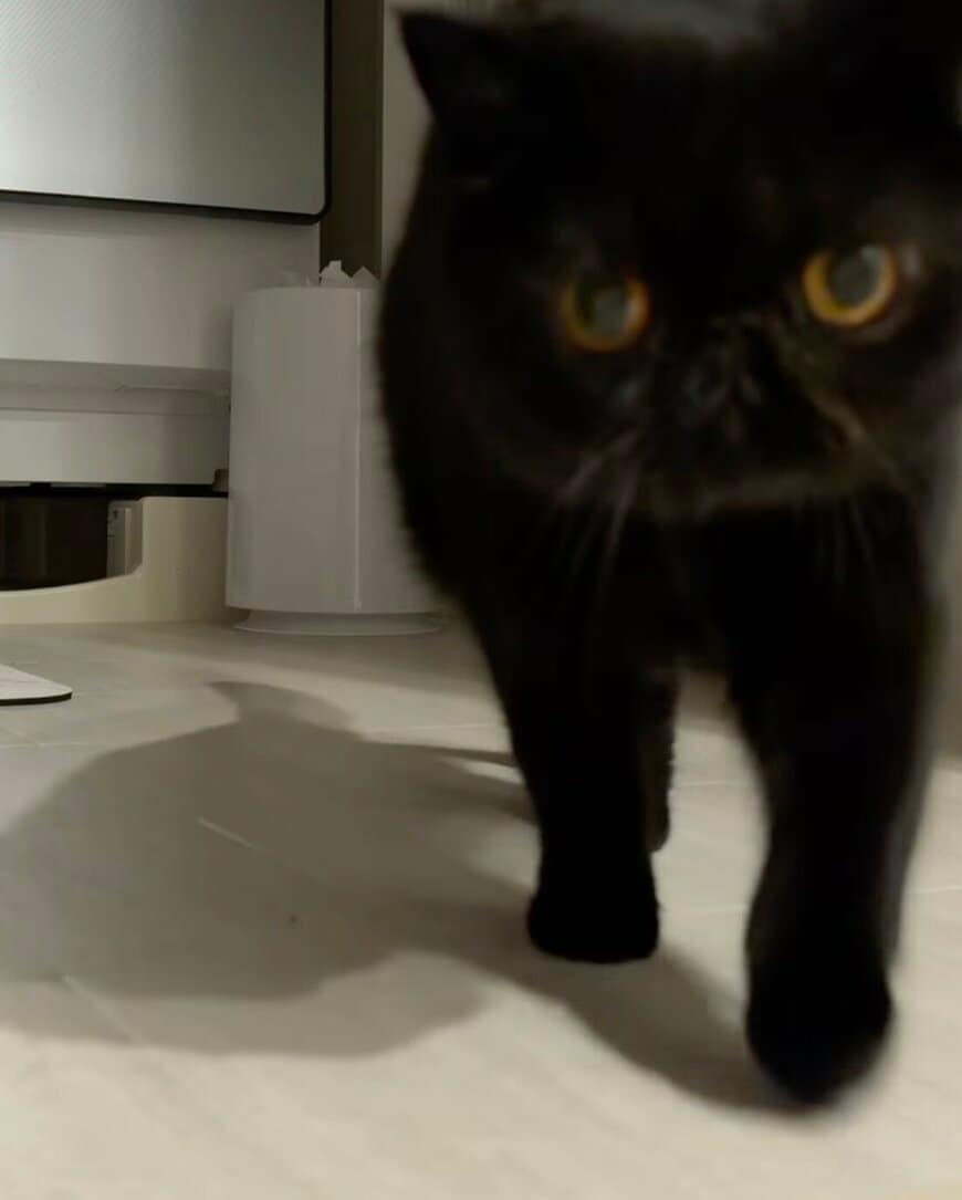 出所：@kotetsu_0420