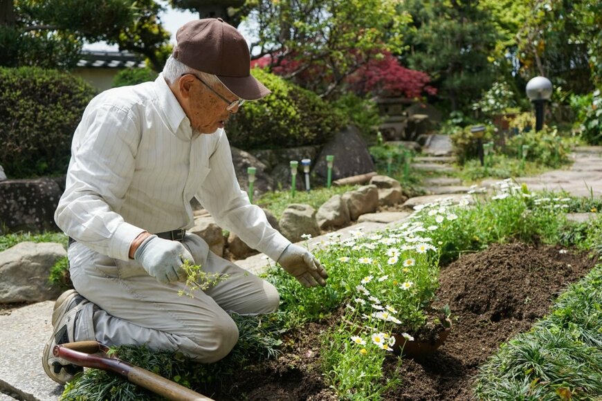 厚生年金の平均月額は14万円だが、実際に達成している人は約46％。年金を増やす方法はある？