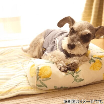 画像出所：ニトリ公式通販 ニトリネット