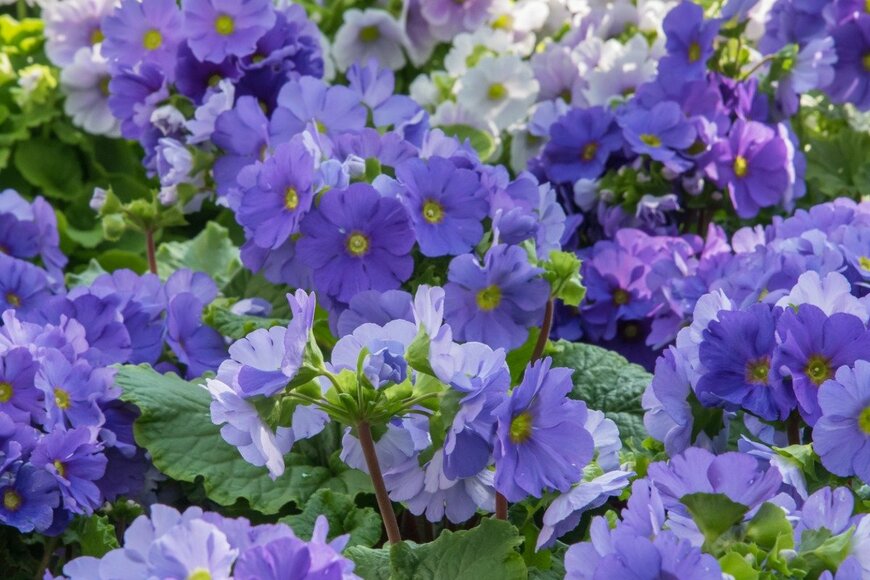 Dale Gu/istockphoto.com