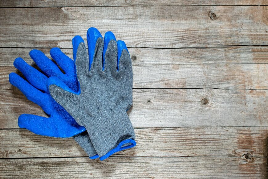 Babakova Anastasiia/shutterstock.com