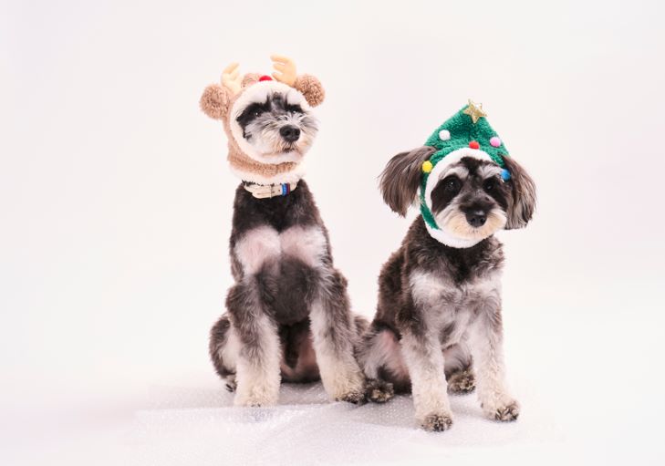 出所：イオン株式会社　「サンタ帽子」「ツリー帽子」「トナカイ帽子」