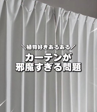 「植物好きのあるある問題」建売住宅の〈開閉しにくいカーテン〉→すっきり日当たり良好な〈ロールスクリーン〉で解決！