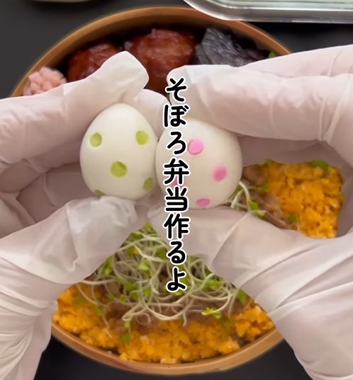 【話題】食べごたえとかわいさが詰まった「そぼろ弁当」至れり尽くせりのこだわりに反響続々