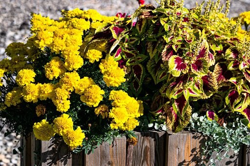 Obraz/shutterstock.com