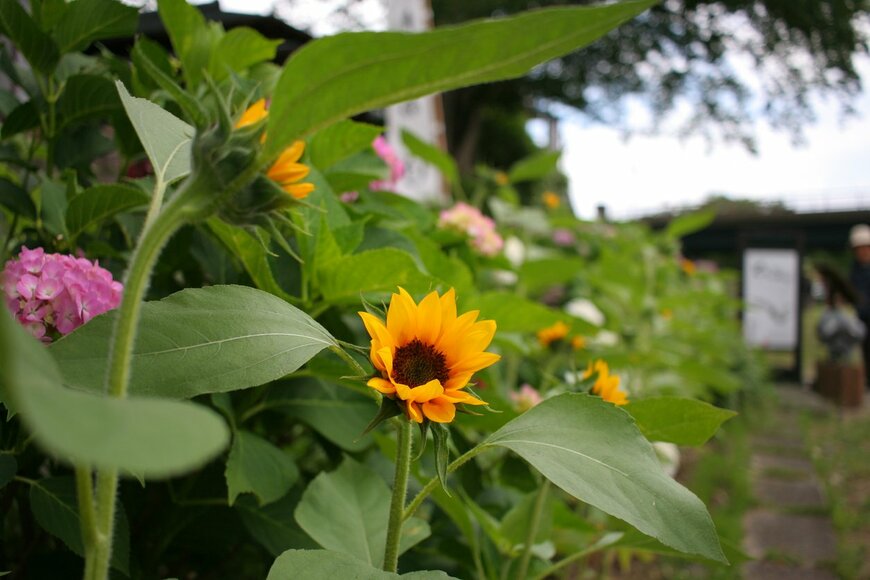 dango k/istockphoto.com