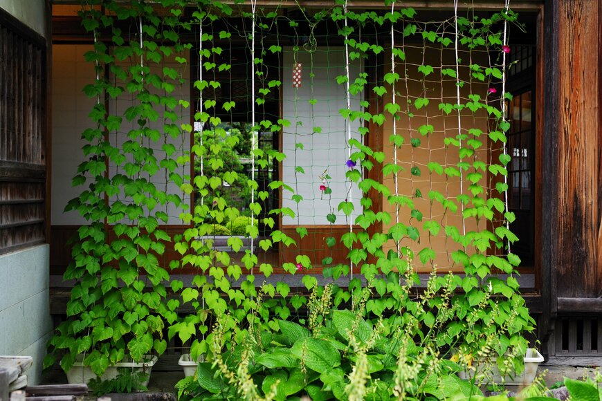 gorosan/shutterstock.com