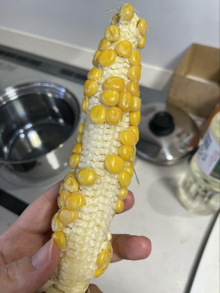 家庭菜園で作ったとうもろこし