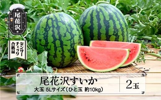 尾花沢すいか 5Lサイズ 約10㎏×2玉