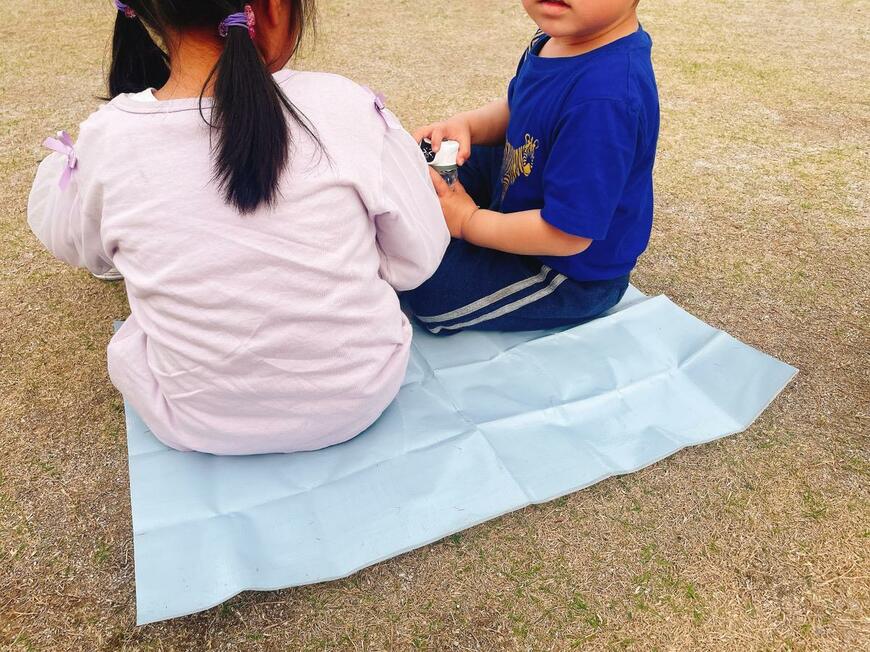 コンパクトレジャーシート