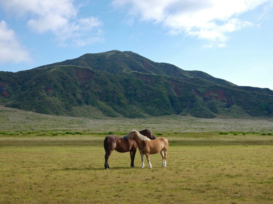 阿蘇の自然風景