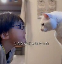 家族が生まれると「変貌」を遂げた白猫　驚きのビフォーアフターに「すっかり丸くなられて…！」