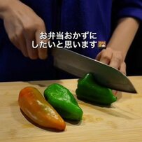 【おかず爆盛りで激ウマ！】実家で収穫したピーマンで作る「甘辛味噌炒め弁当」が話題　妻から夫へ「午後も乗り切れ～！」