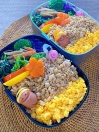 彩り豊かな”そぼろ丼弁当”をよ～く見ると…"春"を感じる母の可愛いアイデアにほっこり