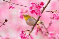 【50歳代・二人以上世帯】貯蓄700万円未満どのくらいか？平均的な「年金月額」がいくらかもチェック