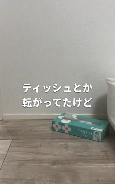 変身前の寝室