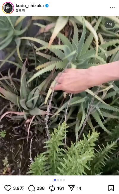 工藤静香のInstagram投稿