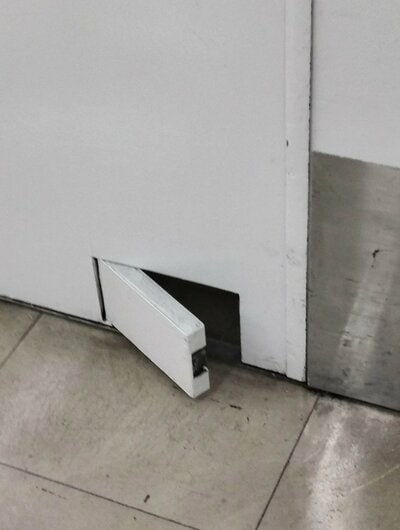 投稿の画像