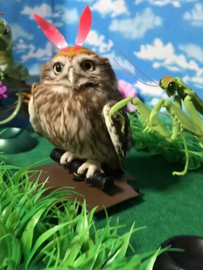 投稿動画のワンシーン