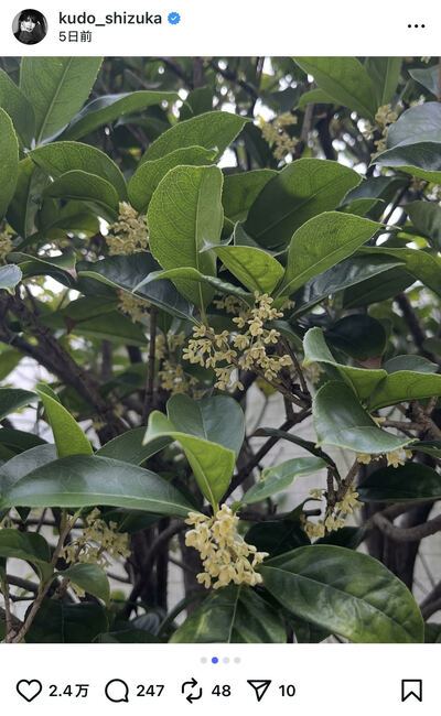 工藤静香のInstagram投稿