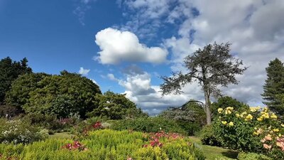 光浦靖子のYouTube動画のスクリーンショット