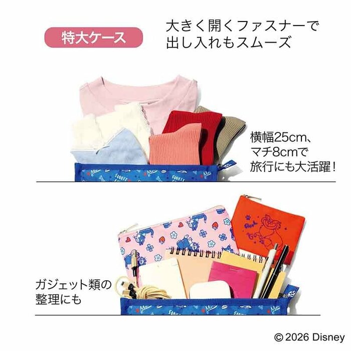 一番大きなサイズの「特大ケース（縦18×横25×マチ8cm）」